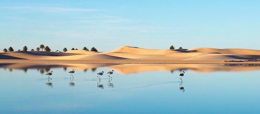 Le lac de Oume Elraneb